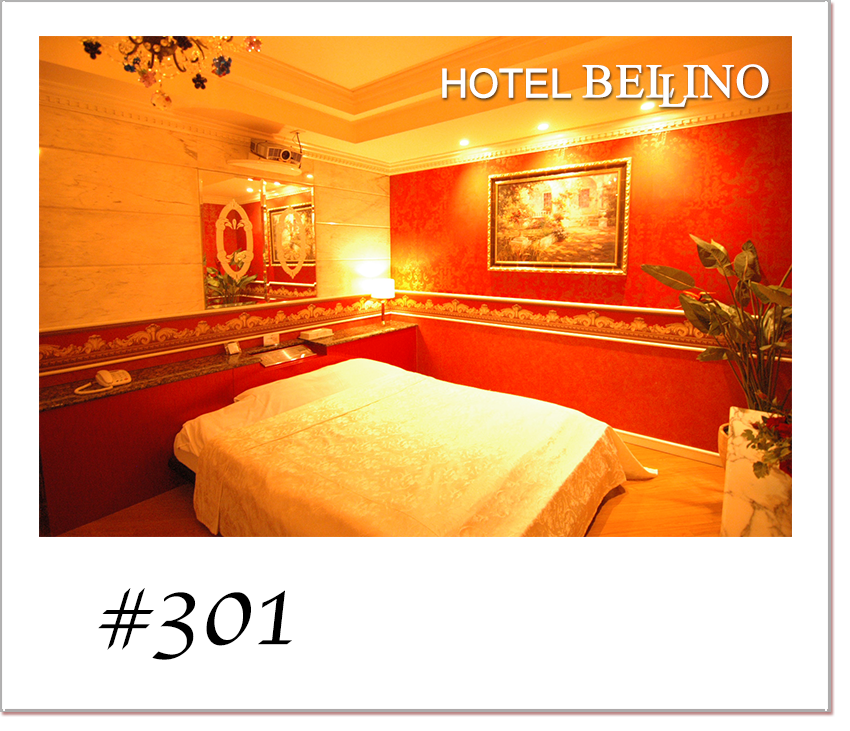 Type A 客室写真 1