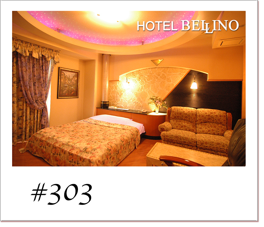 Type S 客室写真 1